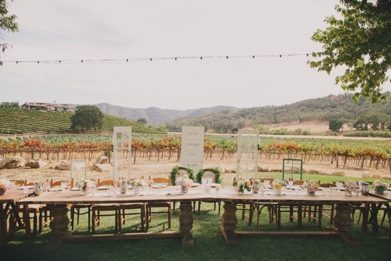 HammerSky Vineyards wedding Inspiration