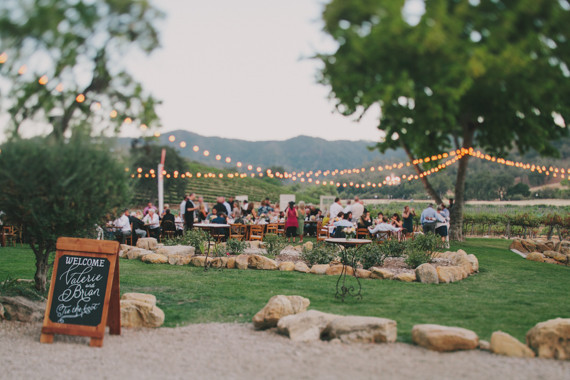 HammerSky Vineyards wedding reception Inspiration