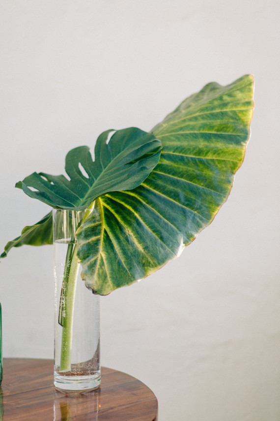 Palm leaf decor