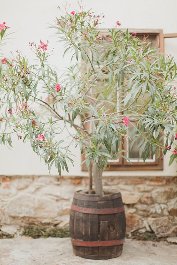 Slovakia wedding tree decor