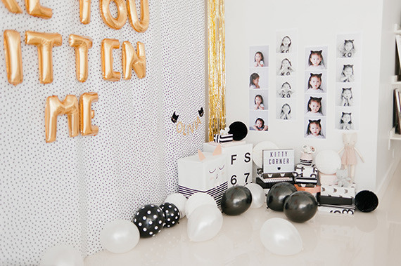 Kitten 2nd Birthday Party