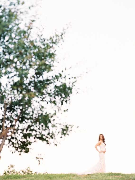 Strawberry farm bride photo