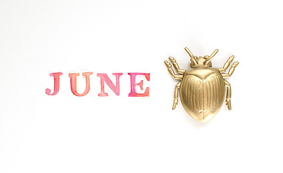 June Bug First Birthday Inspiration