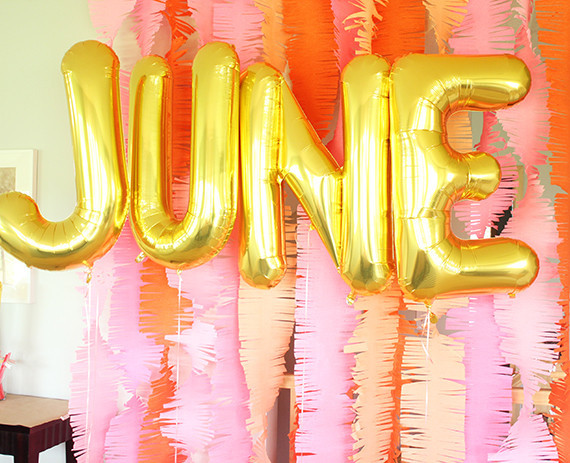 June Bug First Birthday Inspiration
