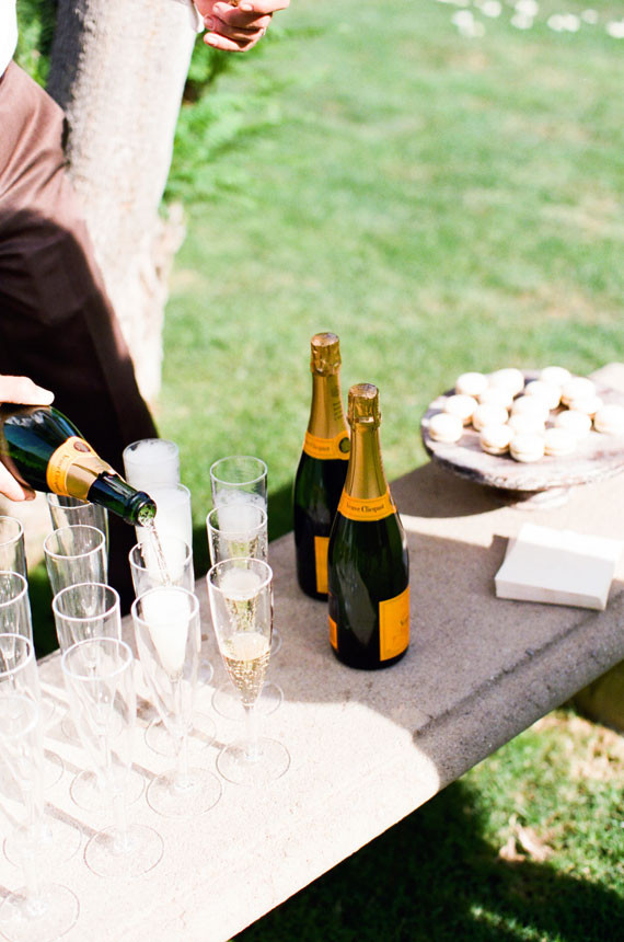 Champagne toasts