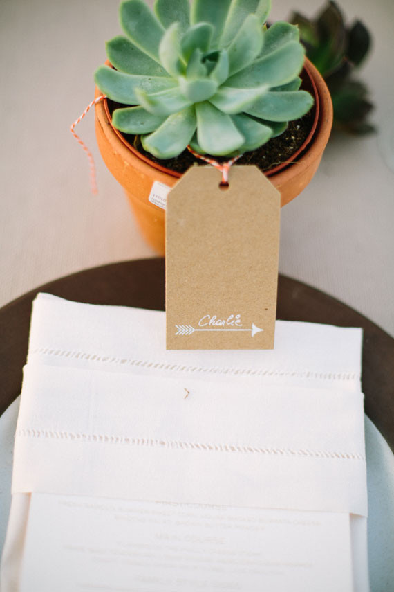 Succulent escort card display