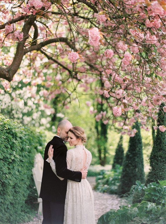 Cherry tree blossoms portraits