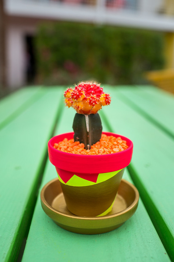 Neon cactus planter