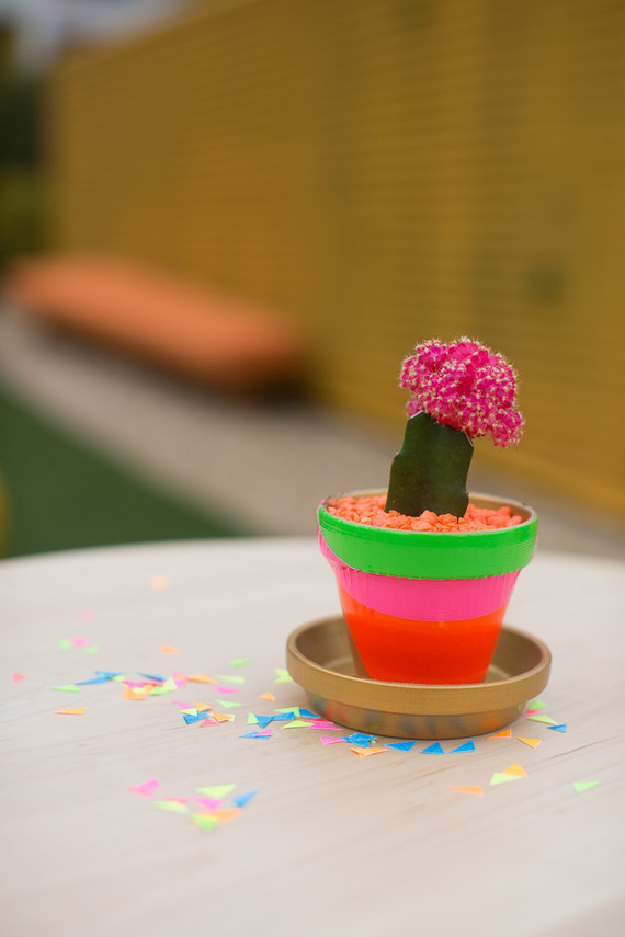 Neon cactus planter