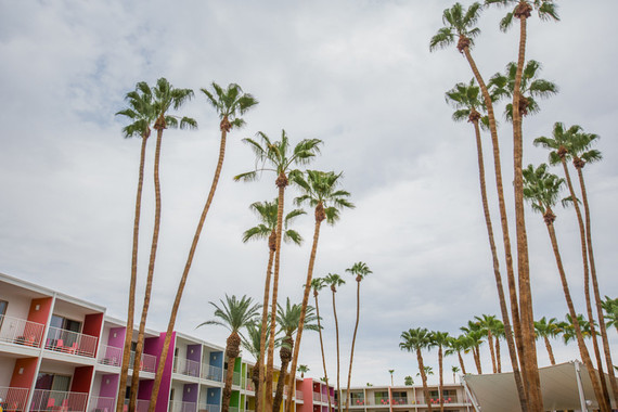 Saguaro Hotel Palm Springs Inspiration