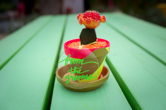 Neon cactus planter