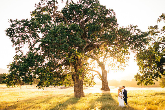 Wedding portrait