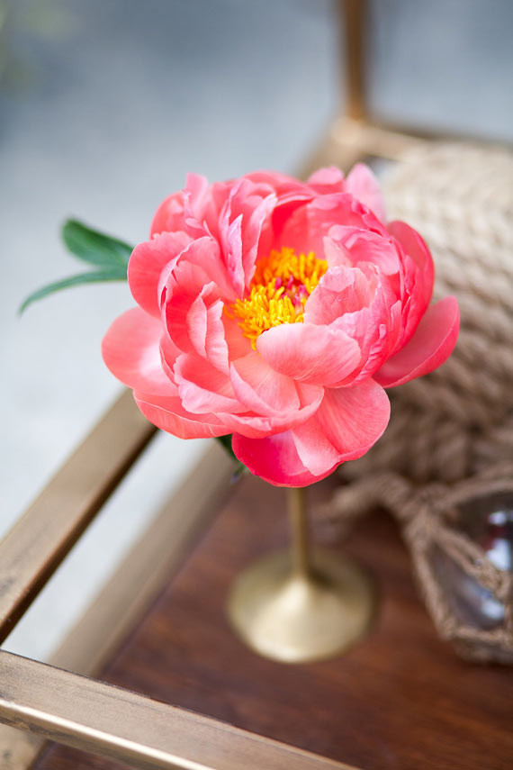 Pink flower