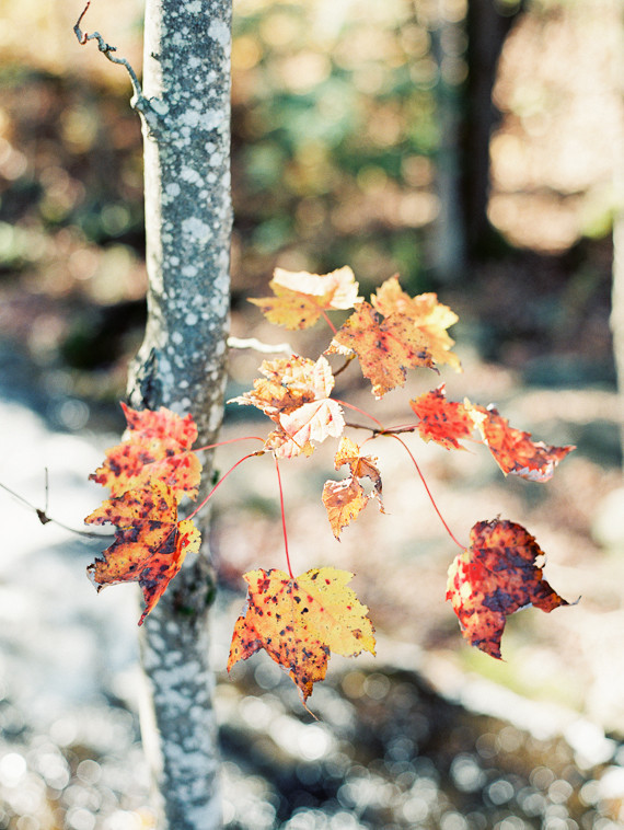 Rustic fall wedding