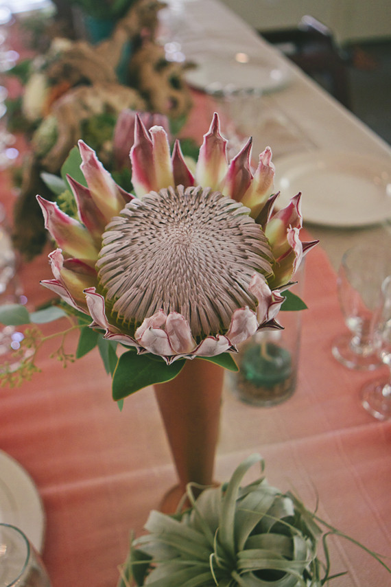 Pink plant with gold vase