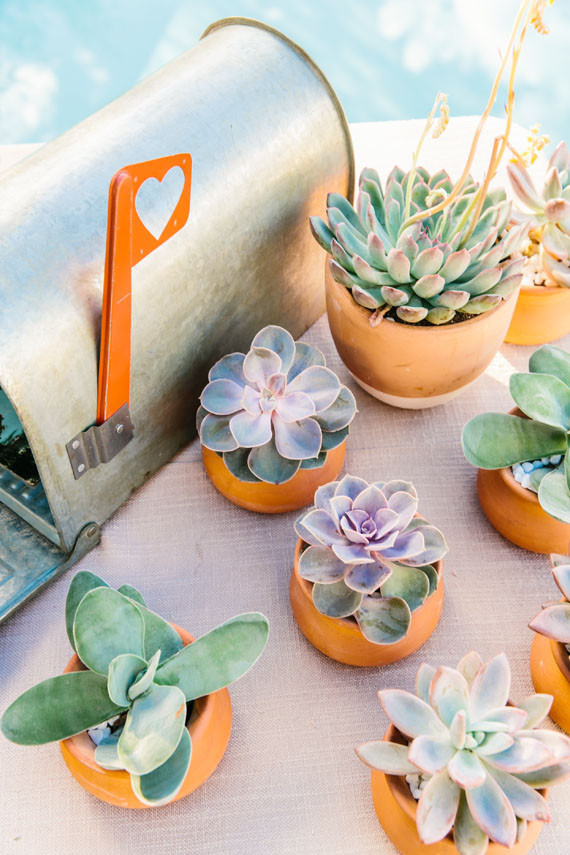 Wedding succulents