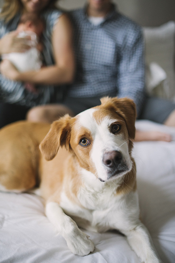 simple modern newborn photos
