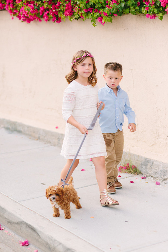 Wedding animals
