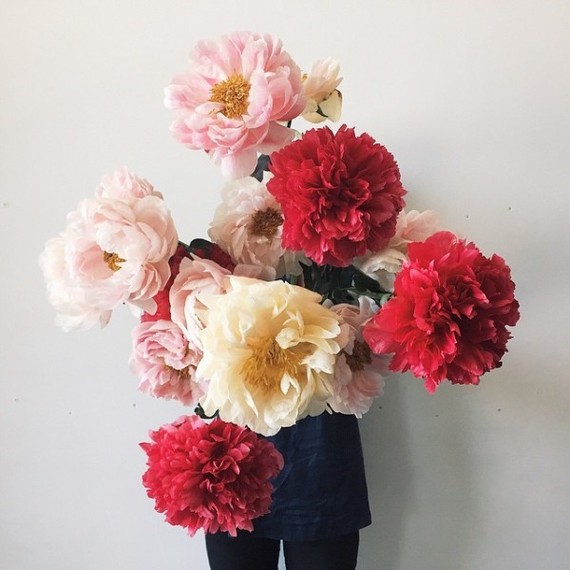 Oversized paper flowers