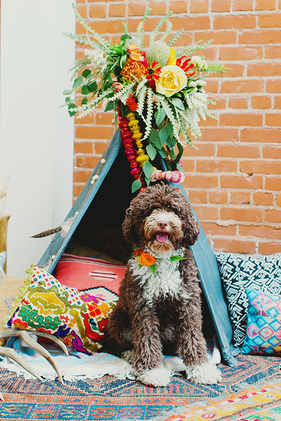 Southwest puppy first birthday party