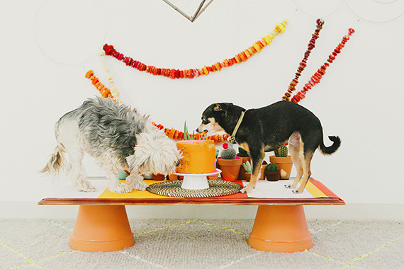 How to make a puppy birthday cake