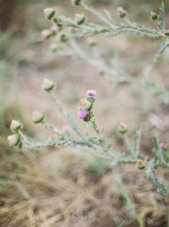 Mother daughter wildflower photos