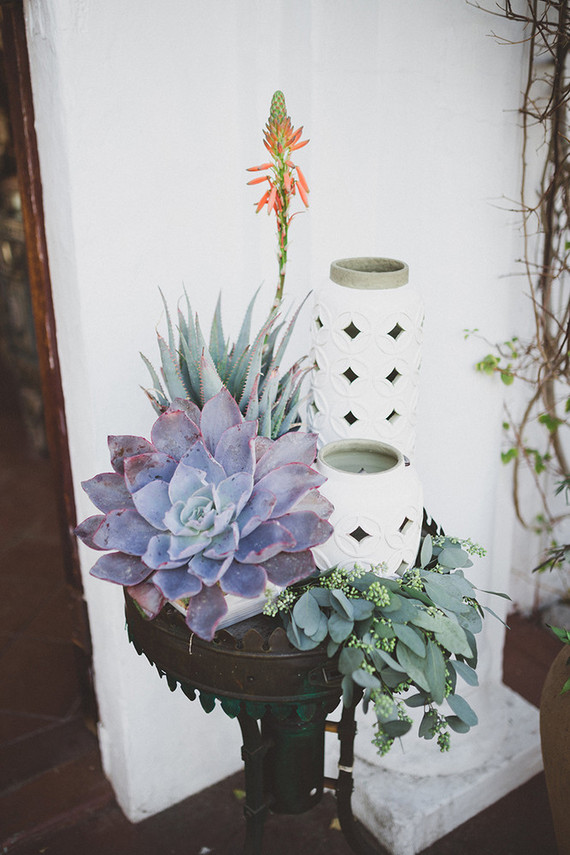 Succulent decor Inspiration