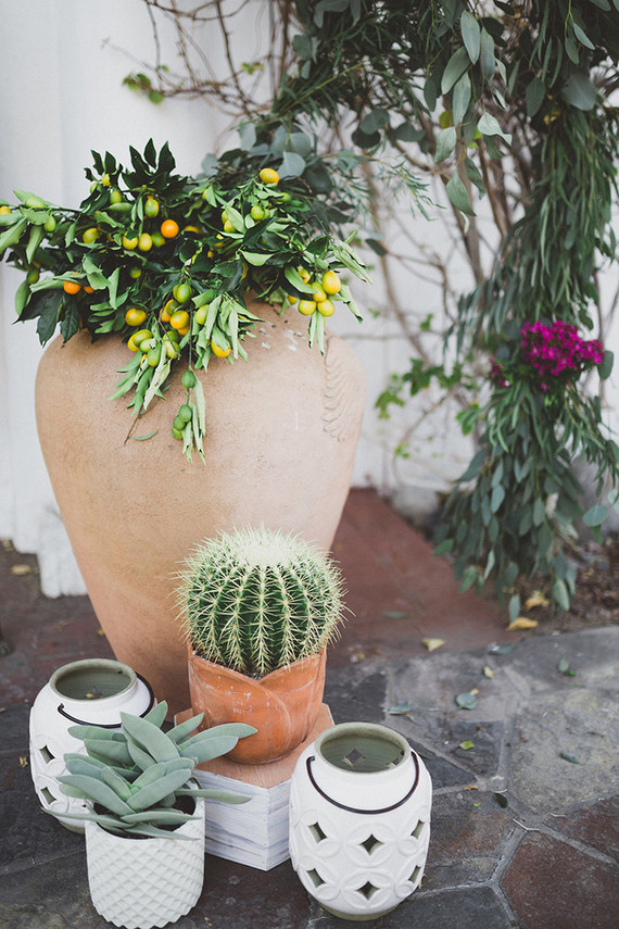 Cactus decor