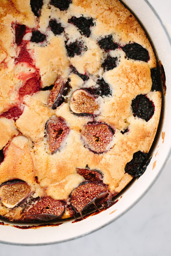 summer fruit buckle