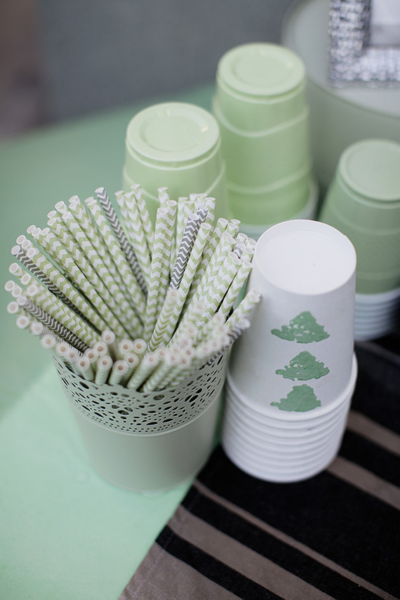 Modern mint baby shower by Mandilynn Photography