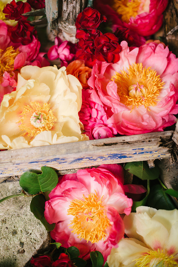 peonies forever