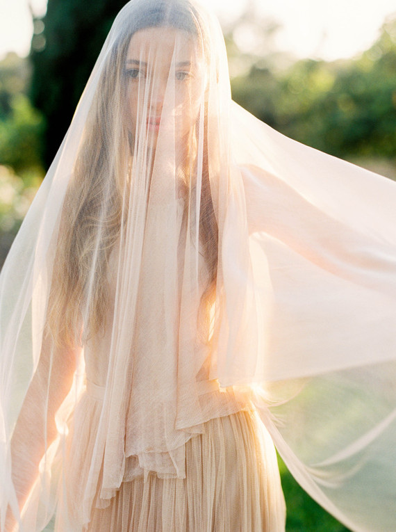 Blush wedding veil