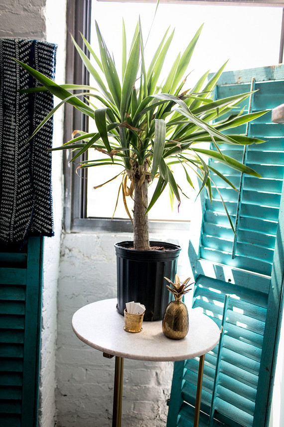 Rent Patina Studio Tour Inspiration