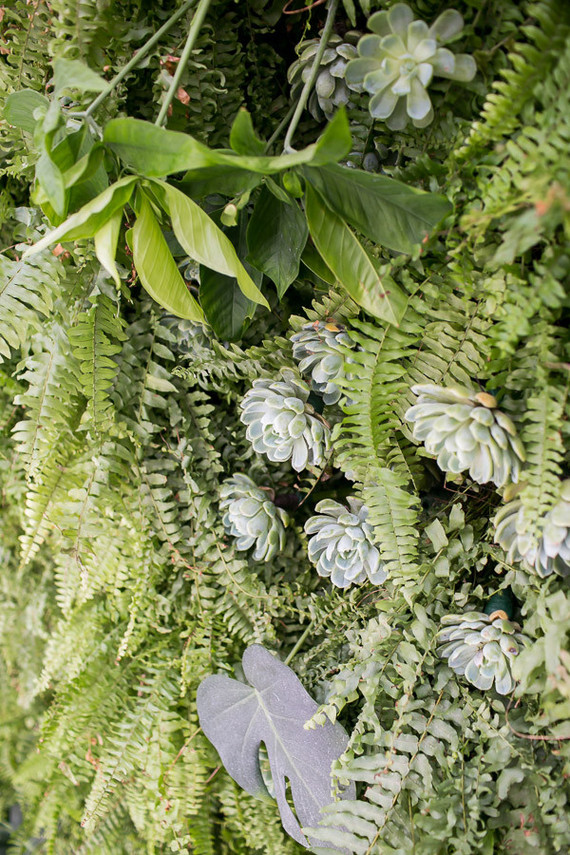 living wall Inspiration