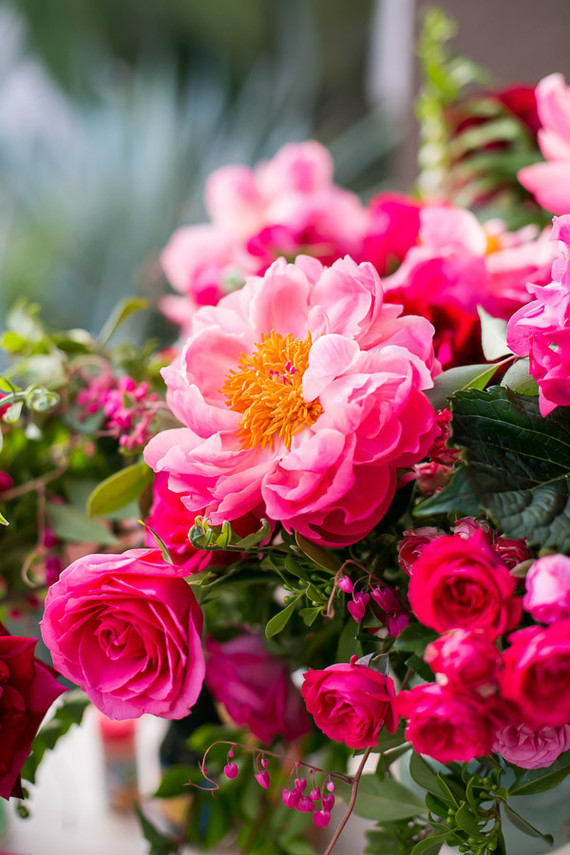 coral charm peony arrangement