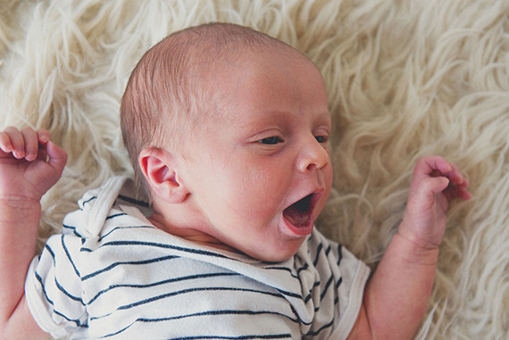 los angeles newborn photos by max and friends