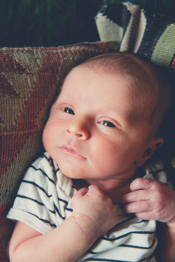 los angeles newborn photos by max and friends