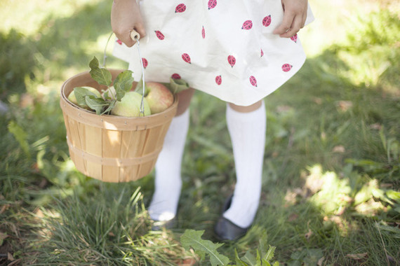 apple picking