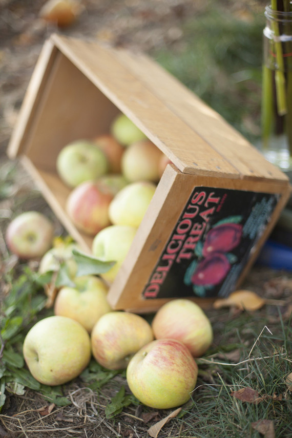 apples