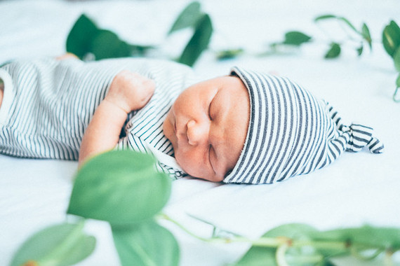 boy newborn photos with vine