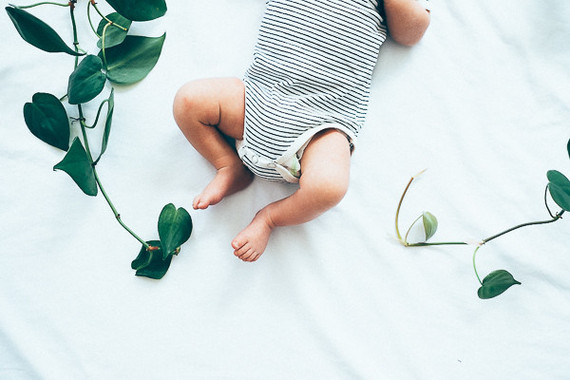 boy newborn photos with vine