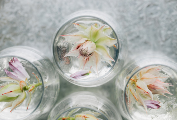 Wedding cocktail Inspiration