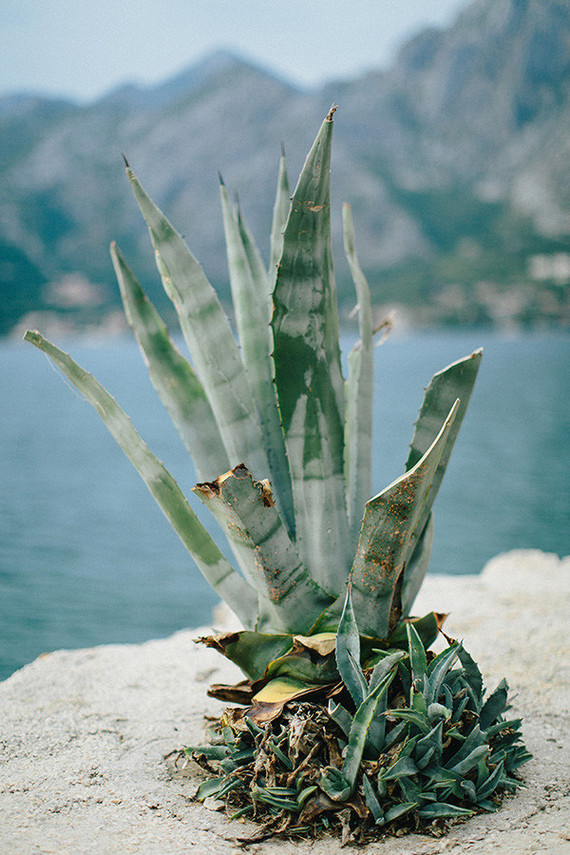 Montenegro Inspiration