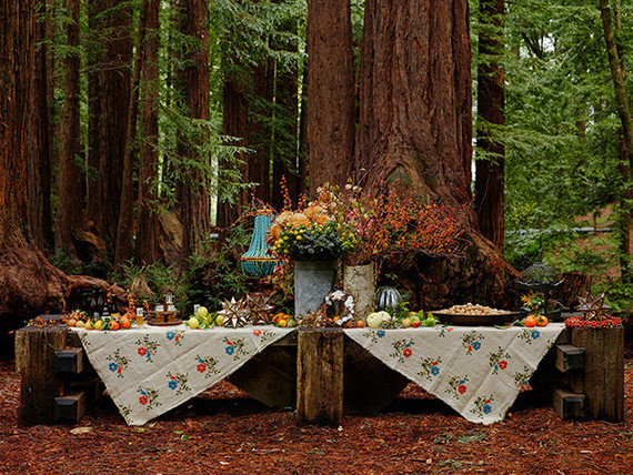 Rustic fall party in the redwoods