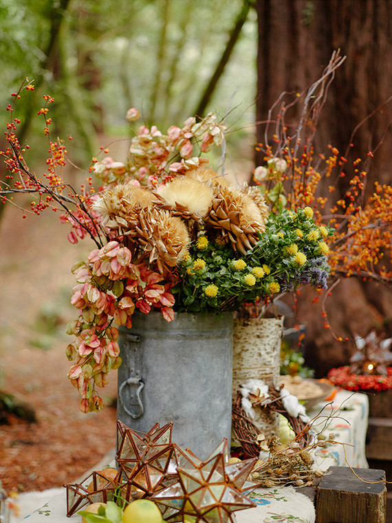 Rustic fall party in the redwoods