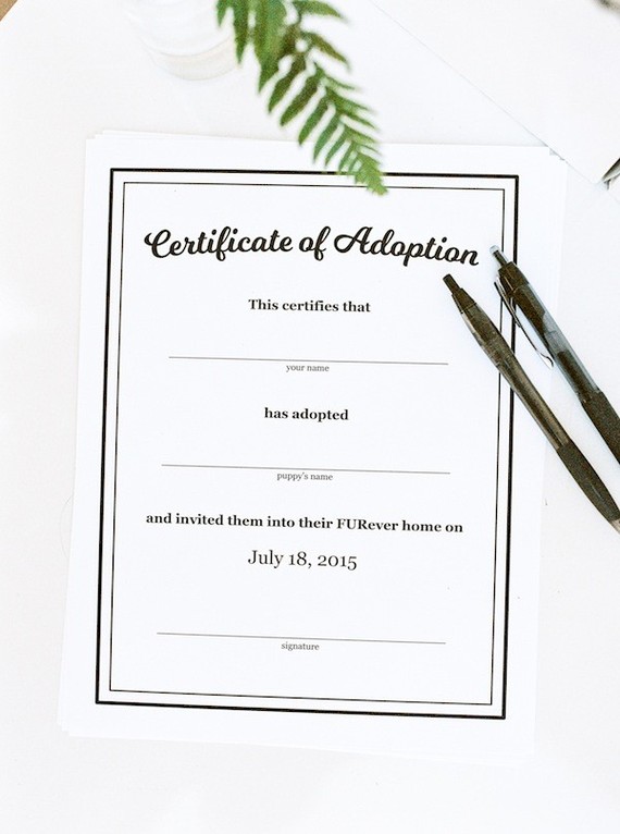 hot dog themed 3rd birthday