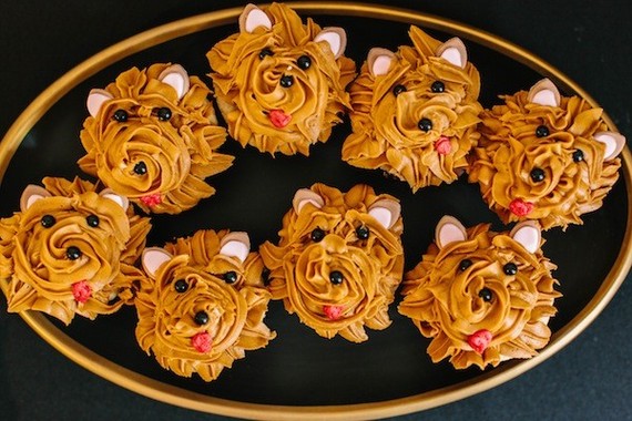 puppy cupcakes