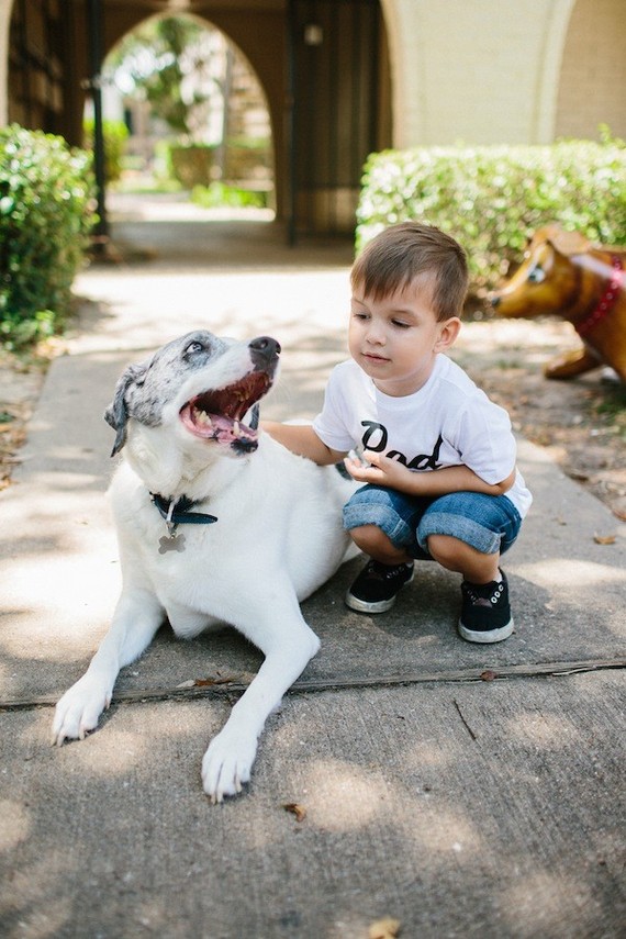 hot dog themed 3rd birthday