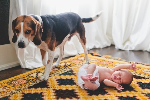 lifestyle newborn photos