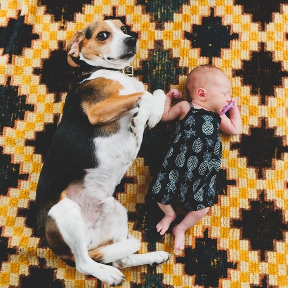 lifestyle newborn photos